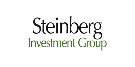 Steinberg Investment Group logo